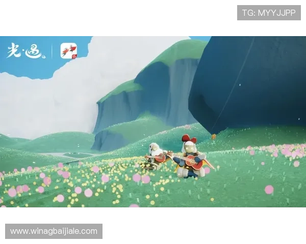 云顶国际平台怎么样：支付方式多样性与资金安全保障